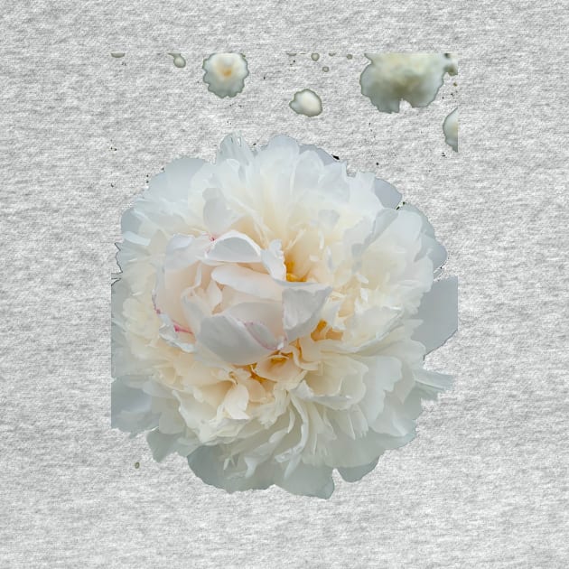 White flower blooms by Loving's Designs